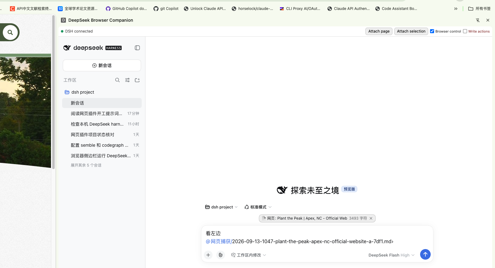DSH Browser Companion side panel with buttons to attach the page, attach a selection, enable browser control and enable write actions